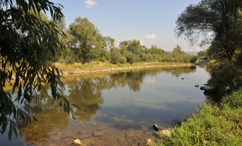 Traun Donau-Auen