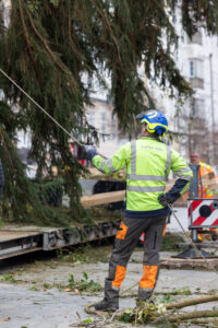 Weihnachtsbaum aufstellen Linz