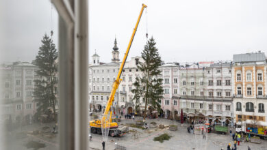 Weihnachtsbaum aufstellen Linz