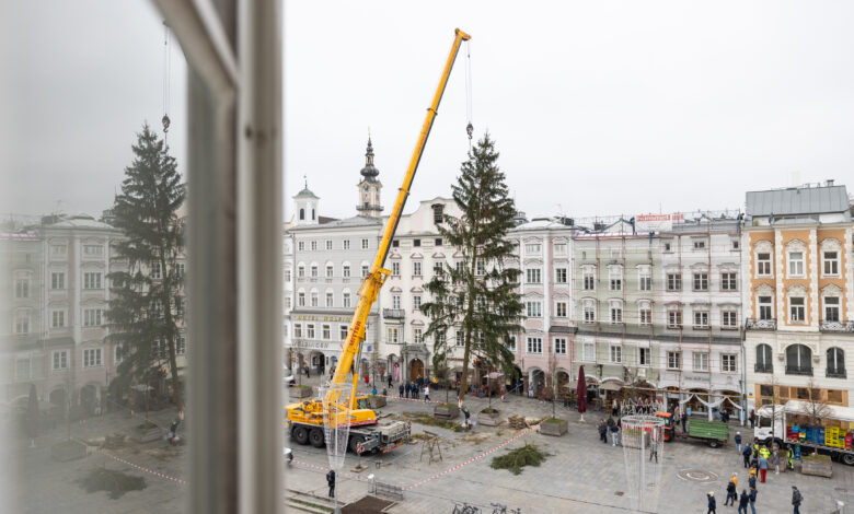 Weihnachtsbaum aufstellen Linz